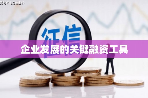 狮子山企业发展的关键融资工具