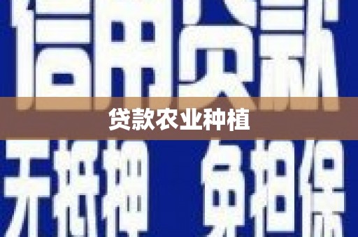 狮子山贷款农业种植