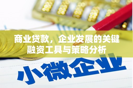 狮子山商业贷款，企业发展的关键融资工具与策略分析