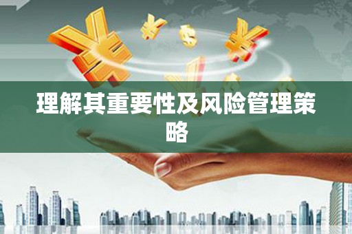 狮子山理解其重要性及风险管理策略