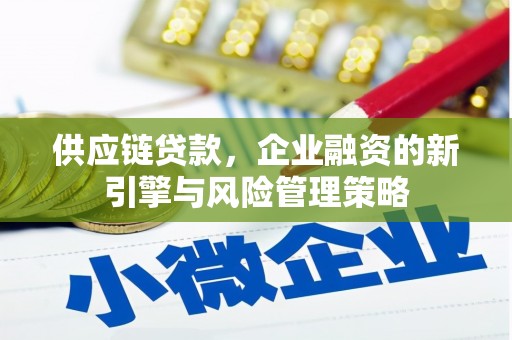 狮子山供应链贷款，企业融资的新引擎与风险管理策略