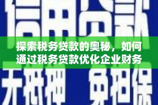 狮子山探索税务贷款的奥秘，如何通过税务贷款优化企业财务