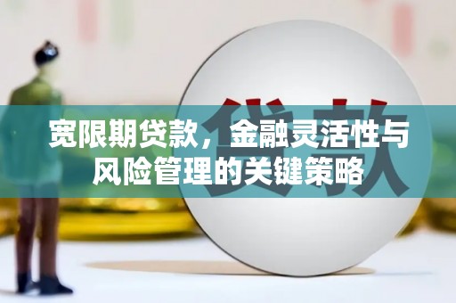 狮子山宽限期贷款，金融灵活性与风险管理的关键策略