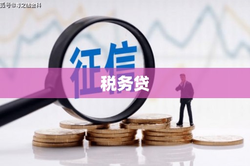 狮子山税务贷