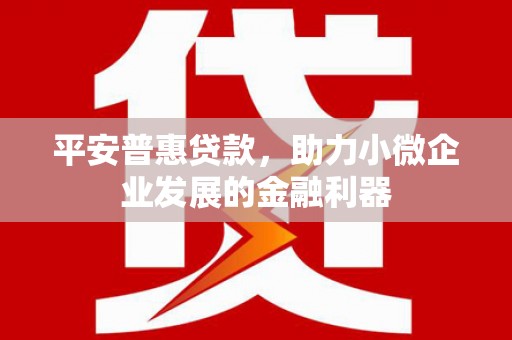 狮子山平安普惠贷款，助力小微企业发展的金融利器
