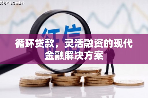 狮子山循环贷款，灵活融资的现代金融解决方案