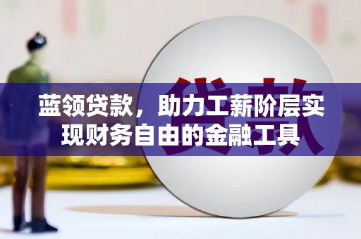 狮子山蓝领贷款，助力工薪阶层实现财务自由的金融工具