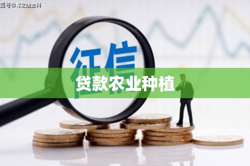 狮子山贷款农业种植