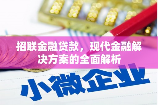 狮子山招联金融贷款，现代金融解决方案的全面解析