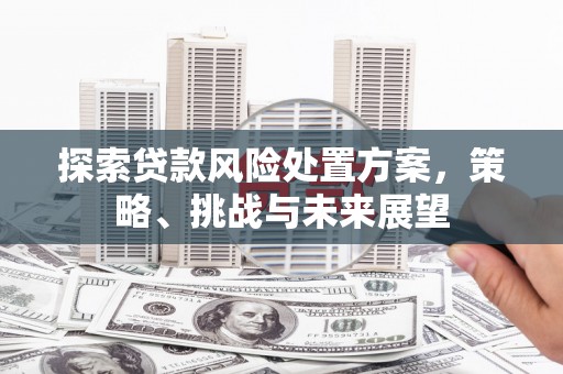狮子山探索贷款风险处置方案，策略、挑战与未来展望