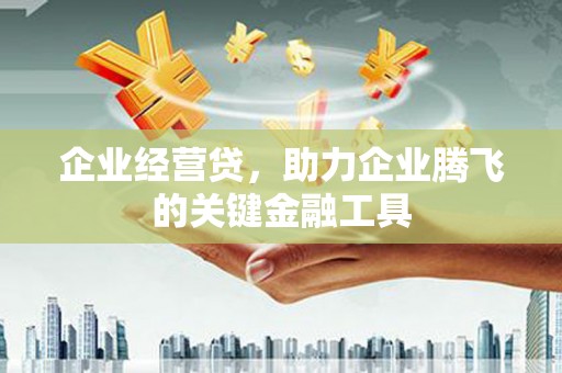 狮子山企业经营贷，助力企业腾飞的关键金融工具