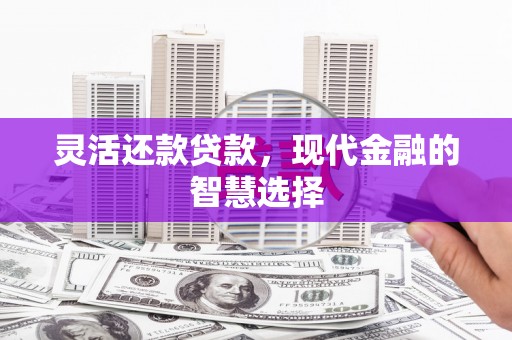 狮子山灵活还款贷款，现代金融的智慧选择