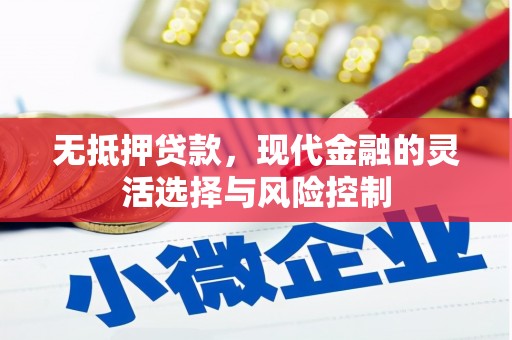 狮子山无抵押贷款，现代金融的灵活选择与风险控制