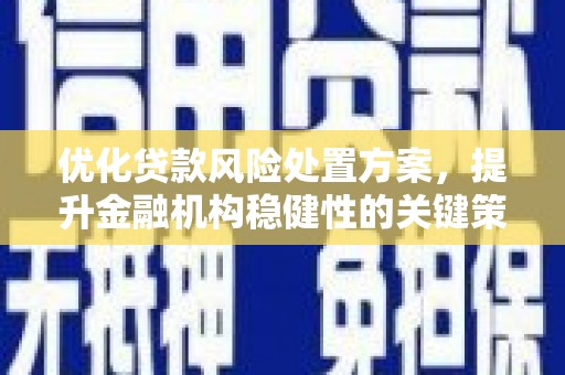 狮子山优化贷款风险处置方案，提升金融机构稳健性的关键策略