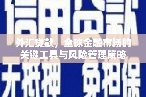 狮子山外汇贷款，全球金融市场的关键工具与风险管理策略