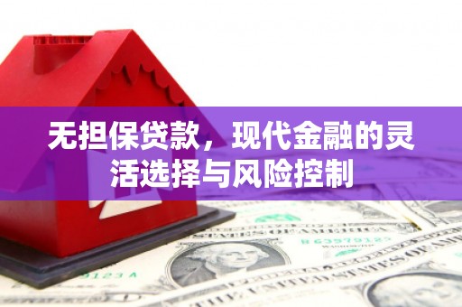狮子山无担保贷款，现代金融的灵活选择与风险控制