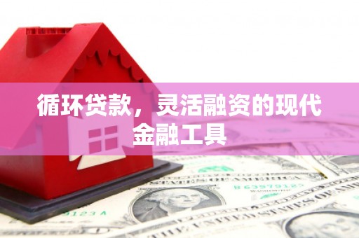 狮子山循环贷款，灵活融资的现代金融工具