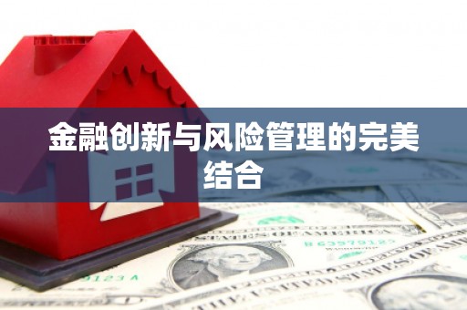 狮子山金融创新与风险管理的完美结合