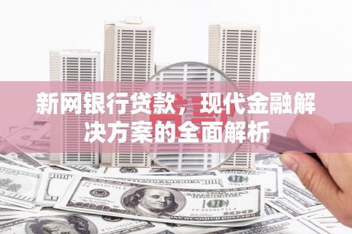 狮子山新网银行贷款，现代金融解决方案的全面解析