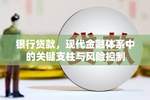 狮子山银行贷款，现代金融体系中的关键支柱与风险控制
