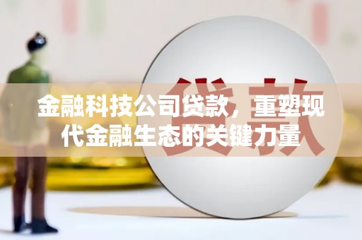 狮子山金融科技公司贷款，重塑现代金融生态的关键力量