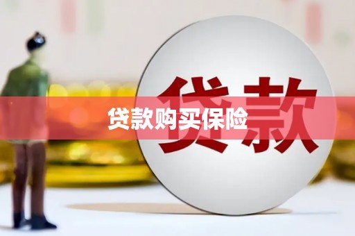 狮子山贷款购买保险
