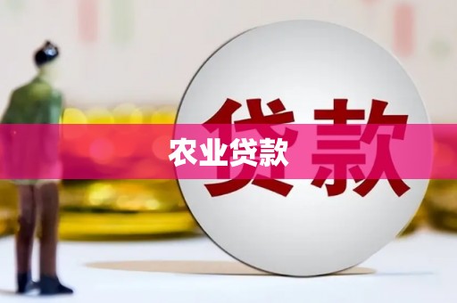 狮子山农业贷款