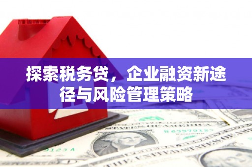 狮子山探索税务贷，企业融资新途径与风险管理策略