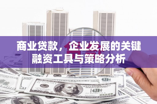 狮子山商业贷款，企业发展的关键融资工具与策略分析