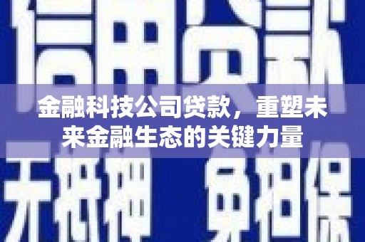 狮子山金融科技公司贷款，重塑未来金融生态的关键力量