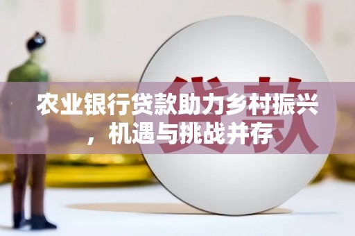 狮子山农业银行贷款助力乡村振兴，机遇与挑战并存