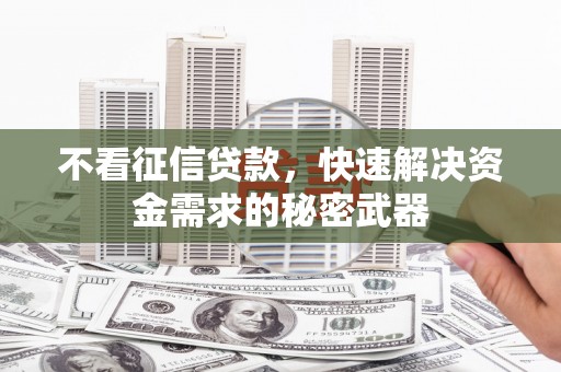 狮子山不看征信贷款，快速解决资金需求的秘密武器