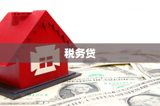 狮子山税务贷
