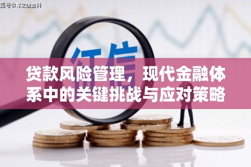 狮子山贷款风险管理，现代金融体系中的关键挑战与应对策略