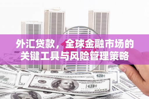 狮子山外汇贷款，全球金融市场的关键工具与风险管理策略