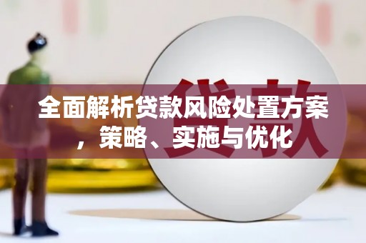 狮子山全面解析贷款风险处置方案，策略、实施与优化