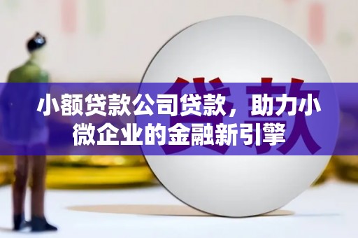 狮子山小额贷款公司贷款，助力小微企业的金融新引擎