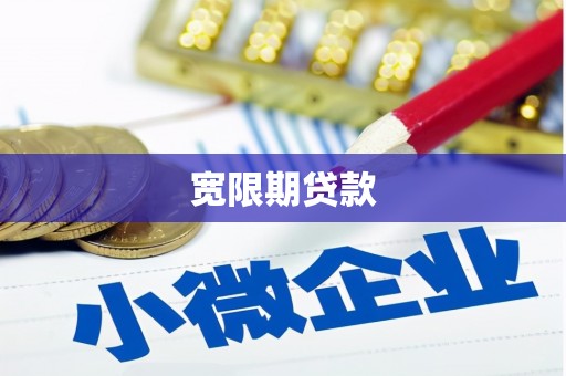 狮子山宽限期贷款