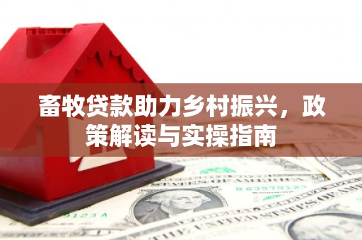 狮子山畜牧贷款助力乡村振兴，政策解读与实操指南
