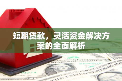狮子山短期贷款，灵活资金解决方案的全面解析