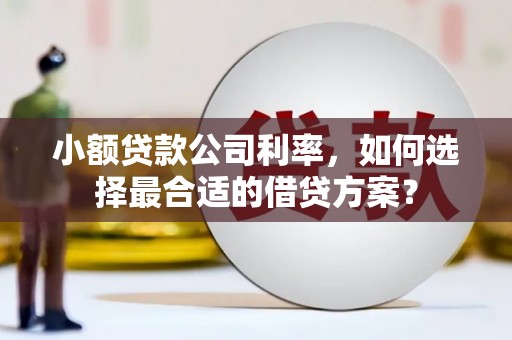 狮子山小额贷款公司利率，如何选择最合适的借贷方案？
