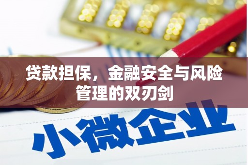 狮子山贷款担保，金融安全与风险管理的双刃剑