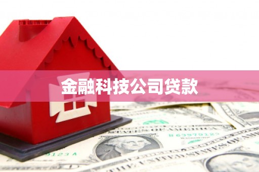 狮子山金融科技公司贷款