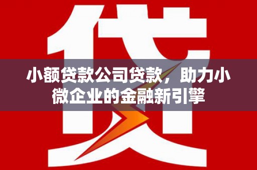 狮子山小额贷款公司贷款，助力小微企业的金融新引擎