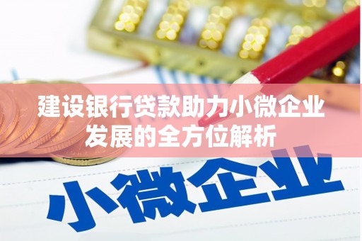狮子山建设银行贷款助力小微企业发展的全方位解析