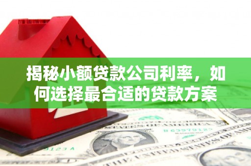 狮子山揭秘小额贷款公司利率，如何选择最合适的贷款方案