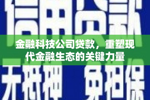 狮子山金融科技公司贷款，重塑现代金融生态的关键力量