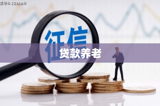 狮子山贷款养老