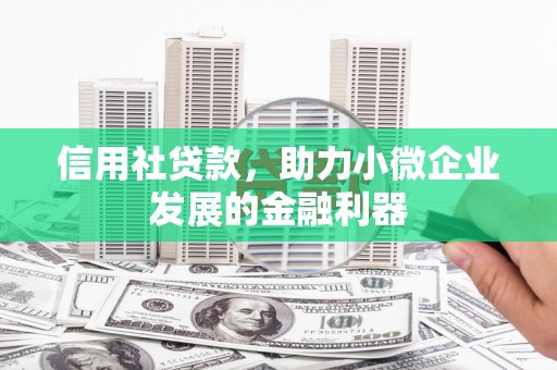 狮子山信用社贷款，助力小微企业发展的金融利器
