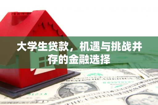 狮子山大学生贷款，机遇与挑战并存的金融选择